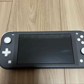 Nintendo Switch Lite グレー 本体&充電器