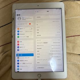 本体 iPad第五世代 詳細必須 買いたい方だけ買ってください