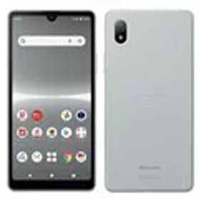 【ほぼ新品・本体のみ】SONY Xperia Ace III SO-53C グレー docomo 【日曜日以外即日発送】【送料無料】
