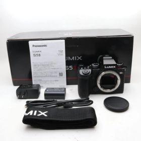 パナソニック(Panasonic) パナソニック フルサイズミラーレス一眼カメラ S5M2 ボディ ブラック DC-S5M2