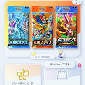 playerLv39 EX以上計203枚 総獲得枚数3865枚 クラウン2種 | ポケポケ(ポケモンTCGポケット)のアカウントデータ、RMTの販売・買取一覧