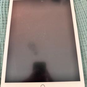 iPad pro 第2世代 12.9 256GB ＋Apple Pencil