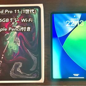 iPad Pro 11 第1世代256GB Wi-Fi Apple Pencil