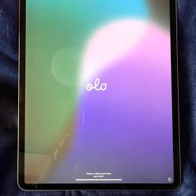 Apple iPad proスペースグレー 本体 + Apple Pencil