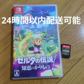 Switchゼルダの伝説知恵のかりもの＆TEARS OF THE KINGDOM