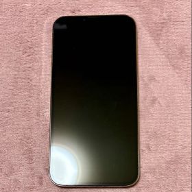 ジャンク iPhone 13 Pro Max 128GB