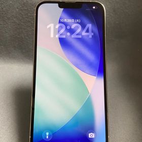 美品 Appleストア版 SIMフリー iPhone13 Pro Max 256GB シルバー色