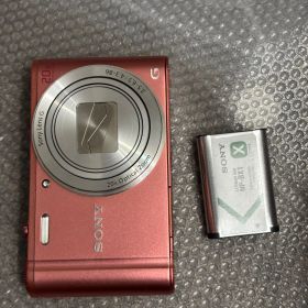 SONY Cyber-shot DSC-WX350 1031