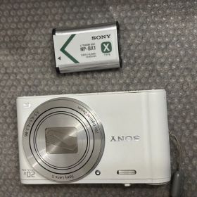 SONY DSC-WX350 12171