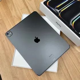 iPad Pro 13インチ M4チップ Nano-Textureガラス 2TB セルラー送料無料