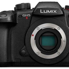 パナソニック(Panasonic) ミラーレス一眼カメラ ルミックス GH5M2 ボディ ブラック DC-GH5M2