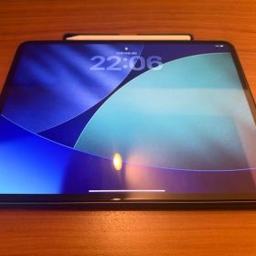 【美品】iPad Pro 13 M5 256GB AppleCare+/他付属品