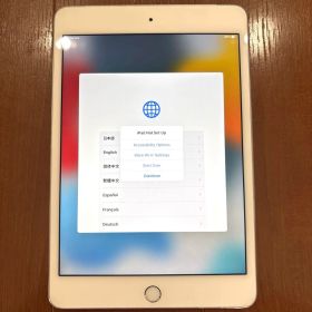 iPad mini 4 Wi-Fi 64GB
