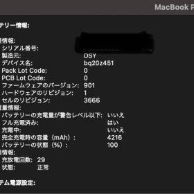 MacBook Pro 2017 13inch｜充放電29回・容量100%