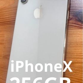 iPhoneX