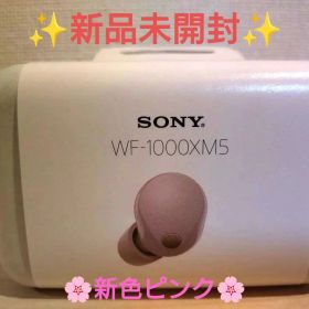【新色】SONY WF-1000XM5 P スモーキーピンク