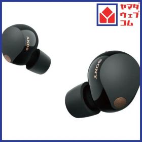 ソニー ワイヤレス イヤホン 左右分離 ハイレゾ ノイズキャンセリング IPX4 最大36時間 USB-C WF-1000XM5 WF1000XM5B ブラック系