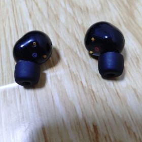 ソニー ワイヤレスイヤホン wf-1000xm5 本体