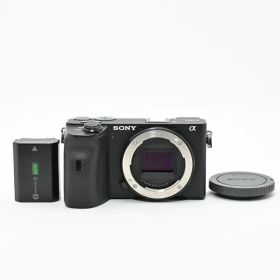 ＜並品＞ SONY α6600 ILCE-6600 ボディ｜シャッター数56,284枚｜マウント部スレ多め｜上部塗装剥がれ・小打痕あり｜ファインダー極小ゴミ混入