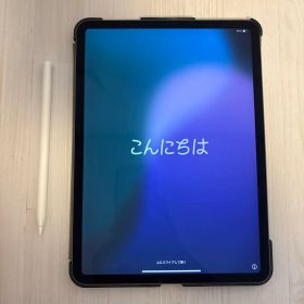iPad Pro 11インチ 第2世代 256GB Wi-Fi スペースグレー