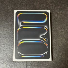 iPad Pro 11インチ M4チップ 256GB