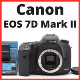 K07[7025]26 キヤノン Canon EOS 7D Mark II ボディ 【ショット数 166,453回】