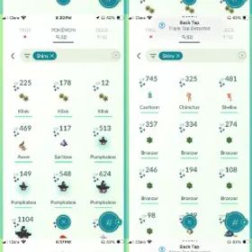 💥 【40名 LV】 🔥 2.0Mダスト |⚡️ 52倍 色違い |⚡️チームなし |