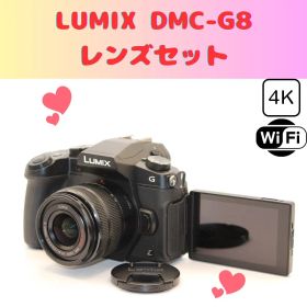 ★ショット数2622回★ LUMIX DMC-G8 レンズセット ミラーレス
