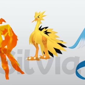 色違いガラル３鳥 大会配布 | ポケモン剣盾(ソードシールド)のアカウントデータ、RMTの販売・買取一覧