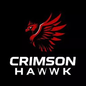 OW2 |20-50勝 |用意 ランク