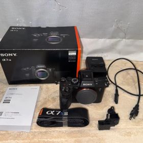 SONY α7S III