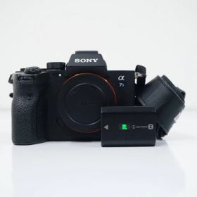 SONY α7S III デジタル一眼カメラ USED品 ソニー Eマウント フルサイズ ミラーレス ダストの写り込みあり 動作品 【難有】 CP2313
