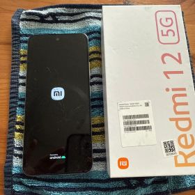 Xiaomi Redmi 12 5G 本体 ポーラーシルバー