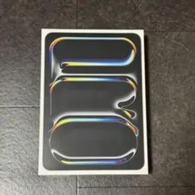 iPad Pro 11インチ M4チップ 256GB