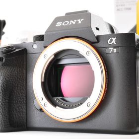 新品同様 SONY α7 ii ブラック ILCE-7M2 デジタルミラーレスカメラ ボディ シャッター約3850ショット #3643