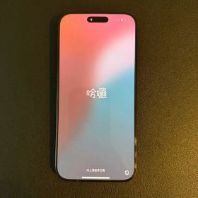 Apple iPhone 16 Pro Max ブラックチタニウム 美品