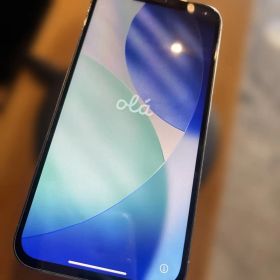 iPhone 12 Pro Max 本体 256GB SIMフリー