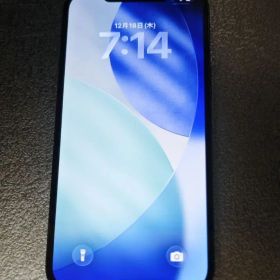 iPhone12 Pro Max 128GB SIMフリー