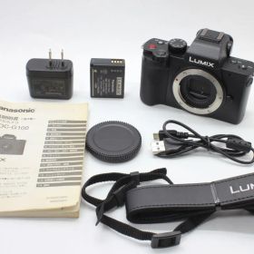 【動作美品】パナソニック Panasonic LUMIX DC-G100 ボディ 動作確認済 バッテリー