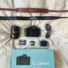 LUMIX DC-G100DW ミラーレス一眼 本体