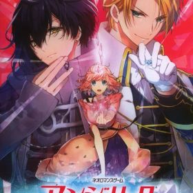 NS アンジェリーク ルミナライズ 通常版