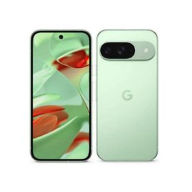 【安心！当社1ヶ月保証付き】【整備済品】Google Pixel 9 128GB Wintergreen SIMフリー