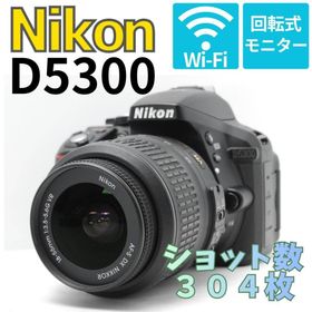 ニコン(Nikon)の【ショット数３０４枚 新品級美品】Nikon D5300 WiFi機 スマホ転送(デジタル一眼)