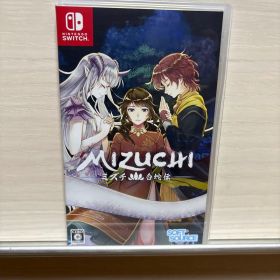 Mizuchi Nintendo Switch ソフト