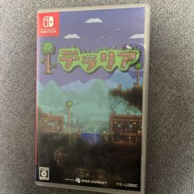 テラリア Nintendo Switch