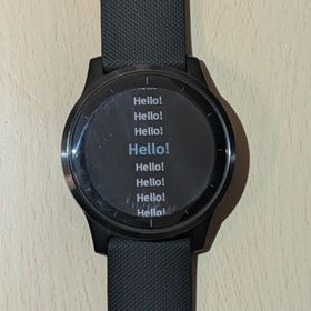 ガーミン(GARMIN)のGARMIN VIVOACTIVE 4 BLACK/SLATE(その他)