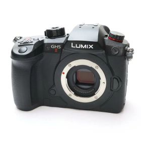 【中古】 《良品》 Panasonic LUMIX GH5II ボディ DC-GH5M2【背面カバー部組SDカードスロットドア部品交換/各部点検済】 [ デジタルカメラ ]