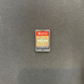 ゼルダの伝説 ティアーズ オブ ザ キングダム -Switch