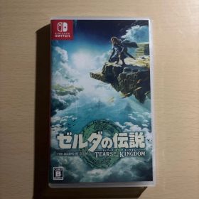 ゼルダの伝説 ティアーズ オブ ザ キングダム