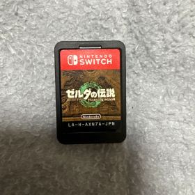ゼルダの伝説 ティアーズ・オブ・ザ・キングダム